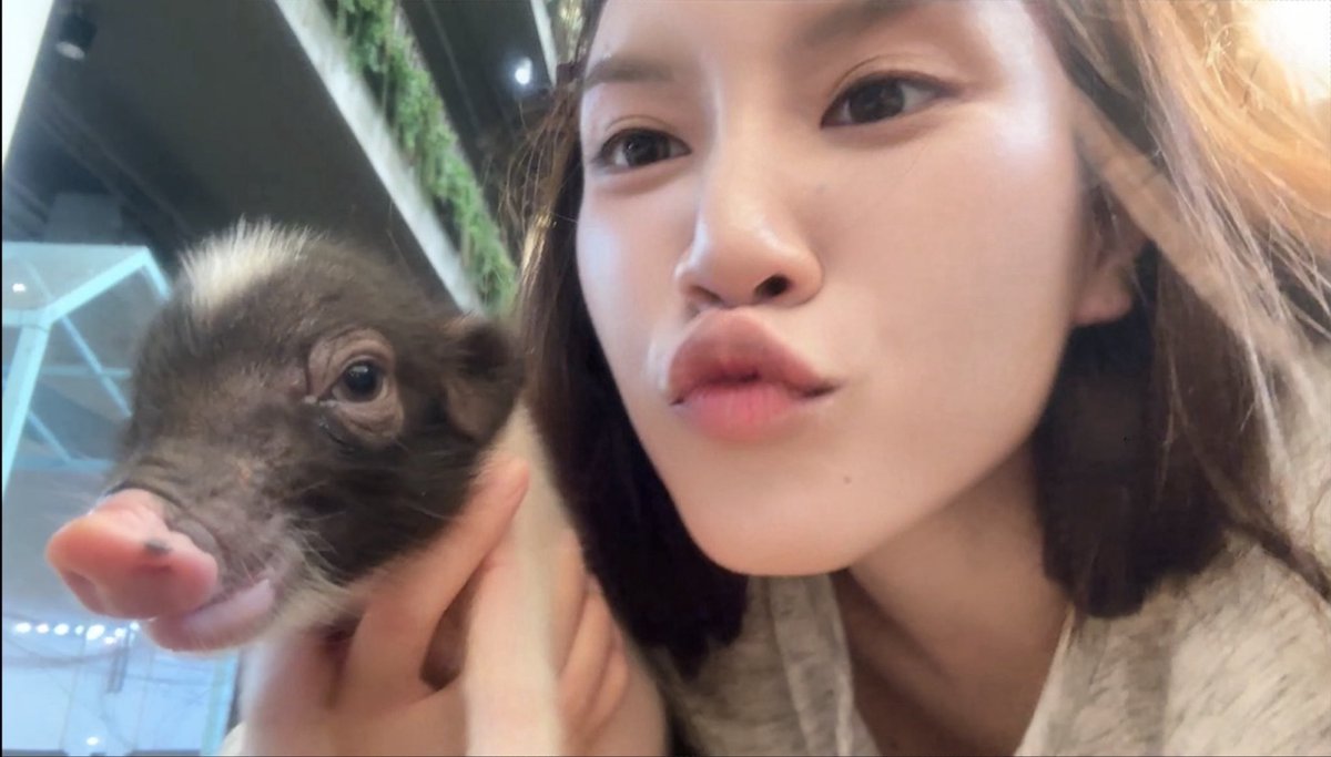 nanupanichm's tweet photo. twin? https://t.co/RKBN2KHORk