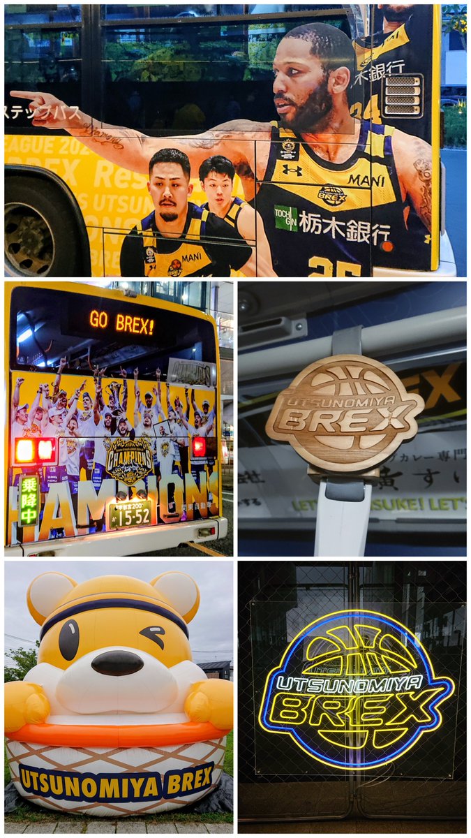 syaokichi1's tweet photo. アリーナから宇都宮駅への送迎バスが優勝した年のラッピングバスで当時行けなかったので嬉しかったです😊
高林堂様に餃子焼と言うお菓子があって買って来ました！見た目餃子ですが中にこしあん､ごま油で焼き目が…しょうゆ味のソースが何故か合っていて又出会えたら買いたいです👍 https://t.co/cxtpptVdf5