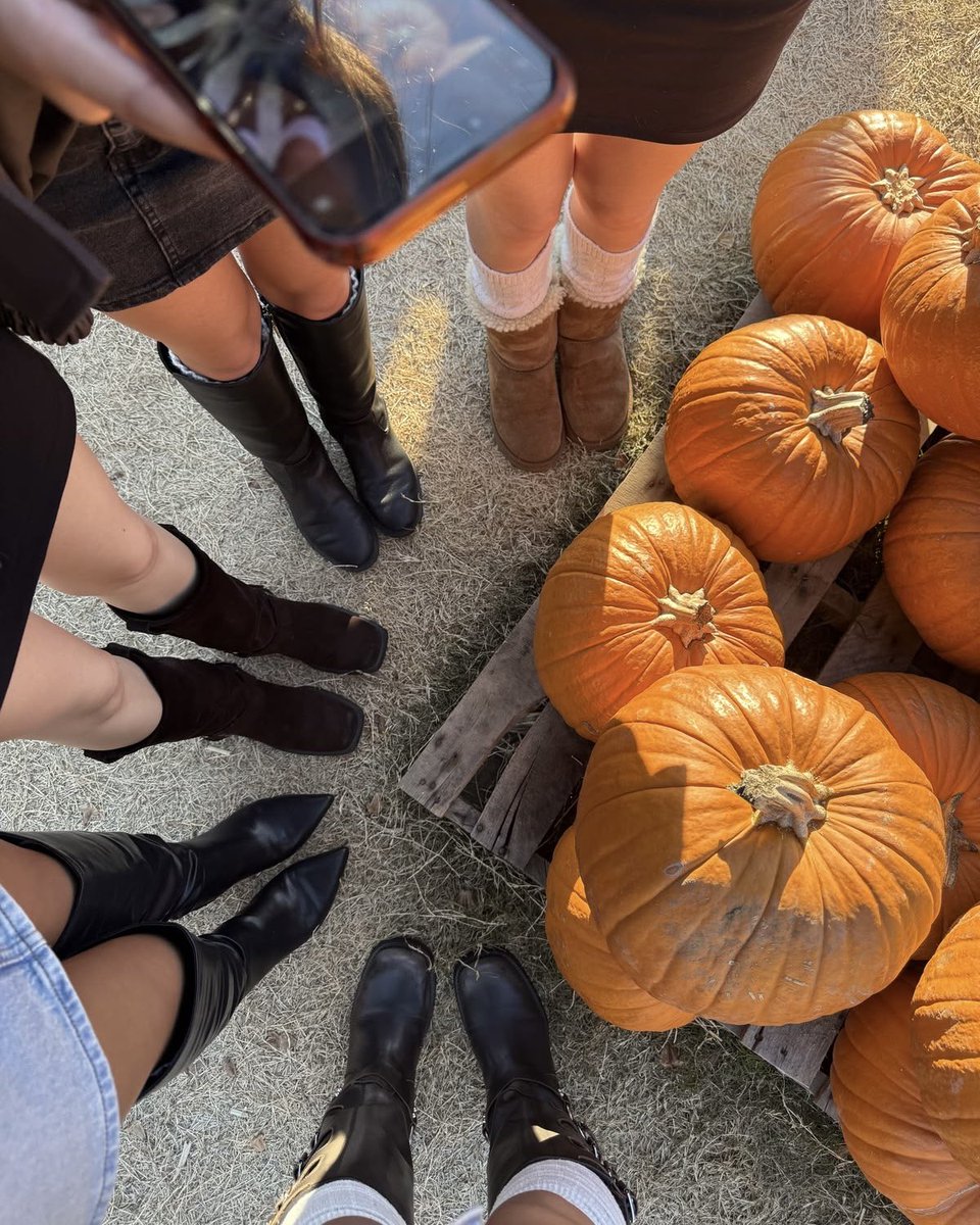 kappadeltablog's tweet photo. ⠀⠀⠀
⠀⠀⠀ 𝓖ood morning, kappa delta!
como vocês sabem, entramos em mês de #𝕭amaƜєєη e à noite temos uma surpresa para nossas kappetinhas!

venham para o pumpkin patch da kappa, escolham suas abóboras e postem uma fotinha sua e da vítima escolhida. 

⠀⠀⠀ https://t.co/liAjHybqtC