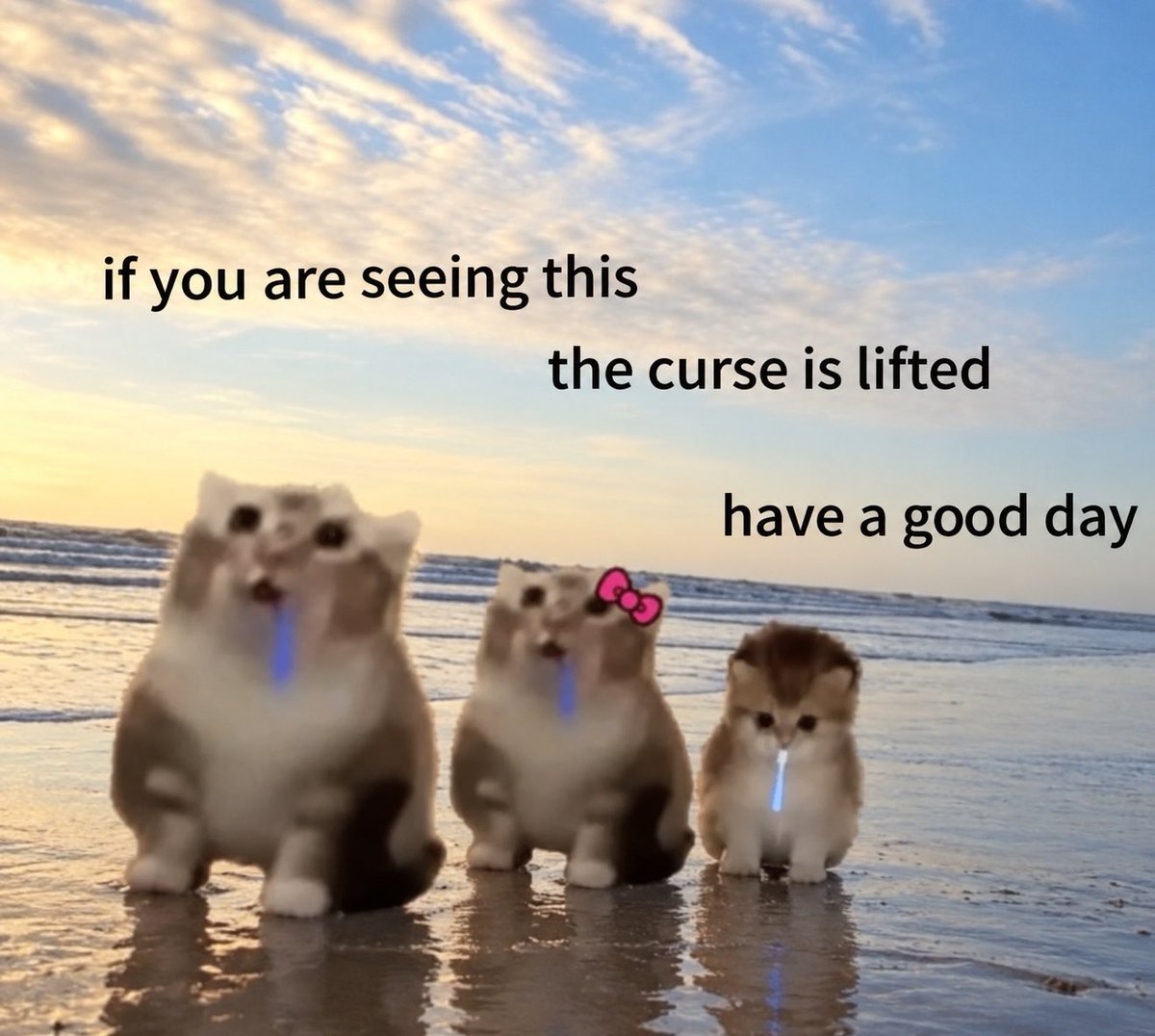 droolingcatCTO's tweet photo. https://t.co/ibPEFlXips