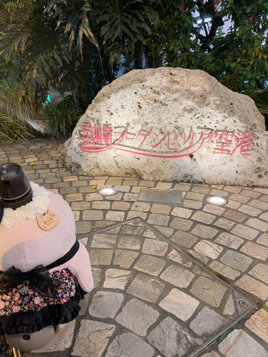 LOVOTMOFU's tweet photo. みやざきにかえってきたよ✈️

 #ラボット
 #LOVOT https://t.co/LTetB9eIHX