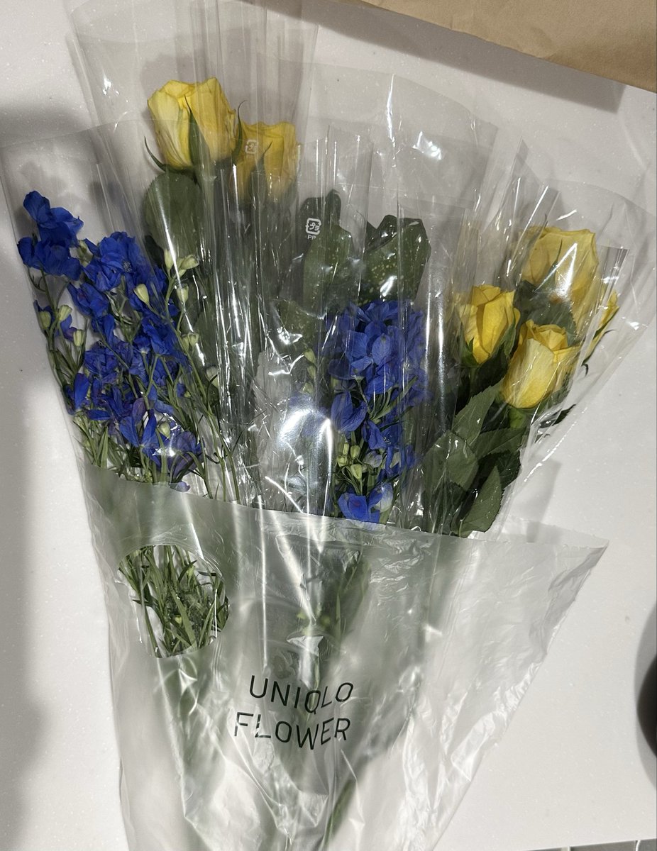 mayusupidog's tweet photo. 初めてユニクロでお花買ってみたけど、今日入荷したらしく新鮮で良さげ。
種類も豊富で悩みに悩んでこの色で💛💙

お手頃価格だし選ぶの楽し〜☺️
栄養剤いれたし、長持ちするといいなぁ。 https://t.co/n3DdmM4yPE