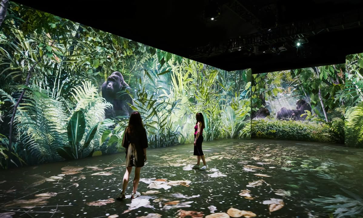 VisitLiverpool's tweet photo. 'Our Story with David Attenborough' is coming to Chester Zoo this autumn! 🌿🌍

The production will open on 17 October, making it the first venue outside London to host the full exhibition following its successful run at the Natural History Museum.

➡ https://t.co/Xpx7JLnrpu https://t.co/TyVbNPTUS2