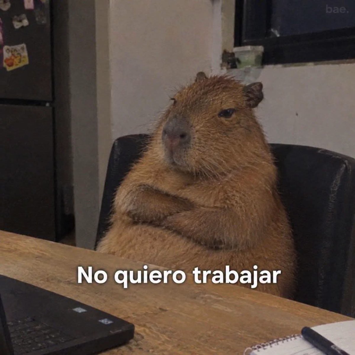 angelo_uf's tweet photo. Mood: https://t.co/etepPpodl8