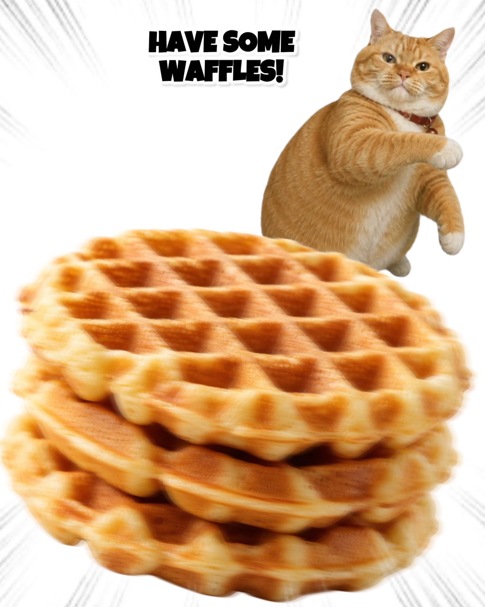 ThrowingObjects's tweet photo. Have some Waffles! https://t.co/Q78dHwjwYJ