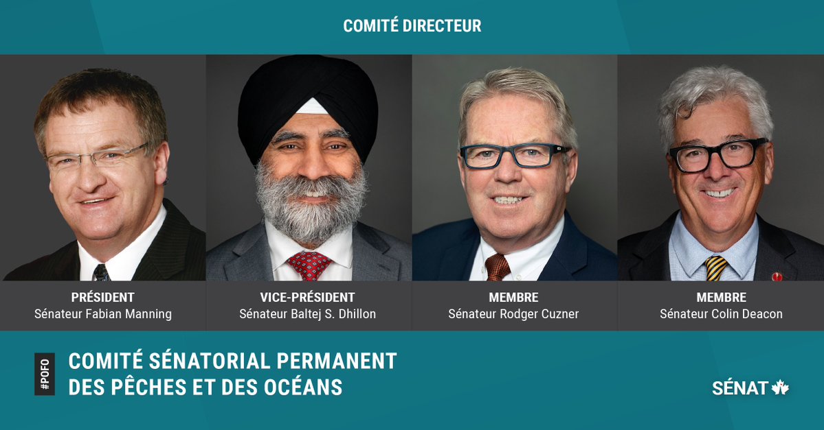 SenatCA's tweet photo. Le président du Comité sénatorial des pêches et des océans est le sénateur Fabian Manning, le vice-président est le sénateur Baltej S. Dhillon, et les autres membres du comité directeur sont les sénateurs @RodgerCuzner et Colin Deacon : https://t.co/RUYQ8nMZoq
#SenCA #POFO #PolCan