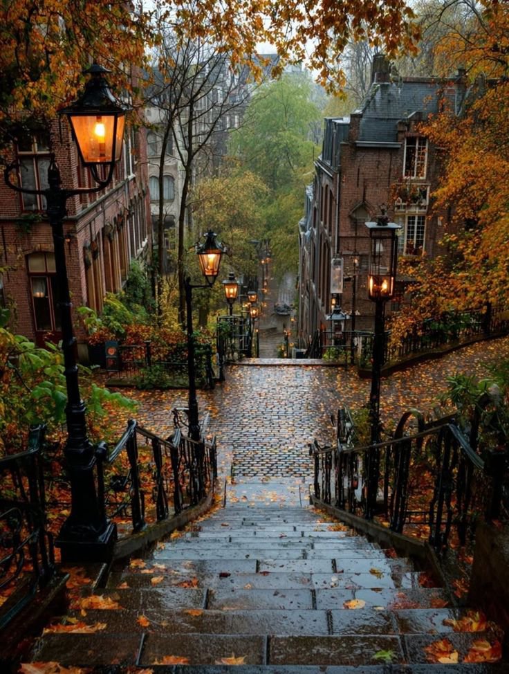 NaturalEye78321's tweet photo. 📍 Rue Foyatier, France 🇫🇷 https://t.co/VsOYkNUDwz