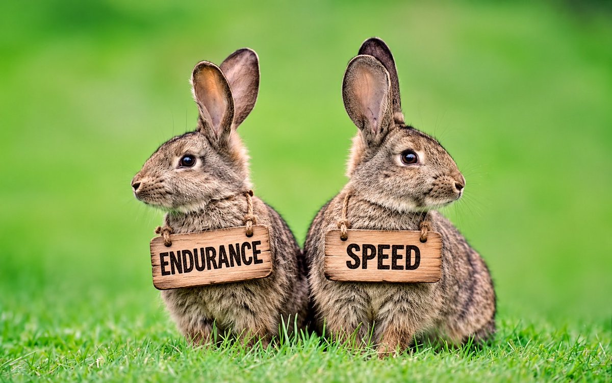 pntrack's tweet photo. 二兎を追う者は一兎をも得ず

“If you chase ENDURANCE, you will never catch SPEED.” https://t.co/ouaZXbAXvJ