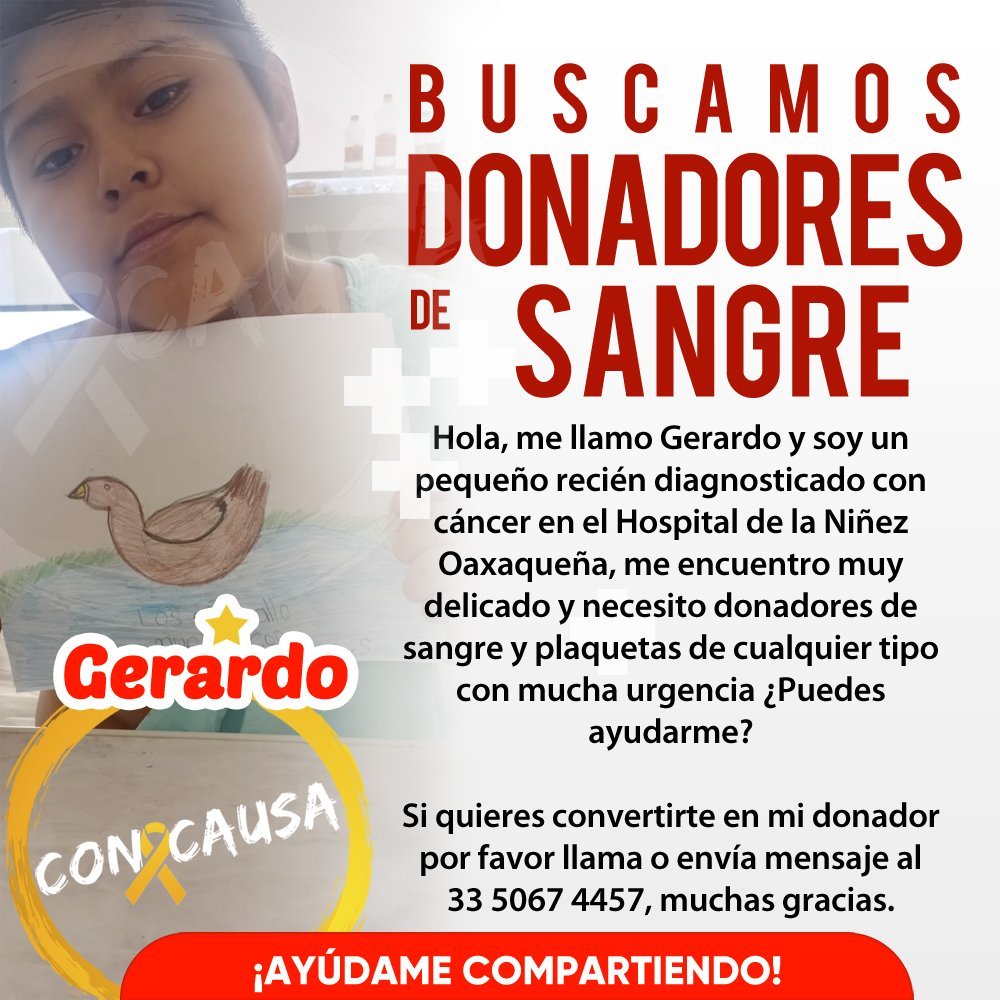 donaenvida's tweet photo. #URGENTE #Oaxaca #Plaquetas #Sangre de cualquier tipo para el pequeño Gerardo, en el Hospital de la Niñez Oaxaqueña.
Contactar al: 335 067 4457.

#DonaEnVida https://t.co/MjTrpZjzOO