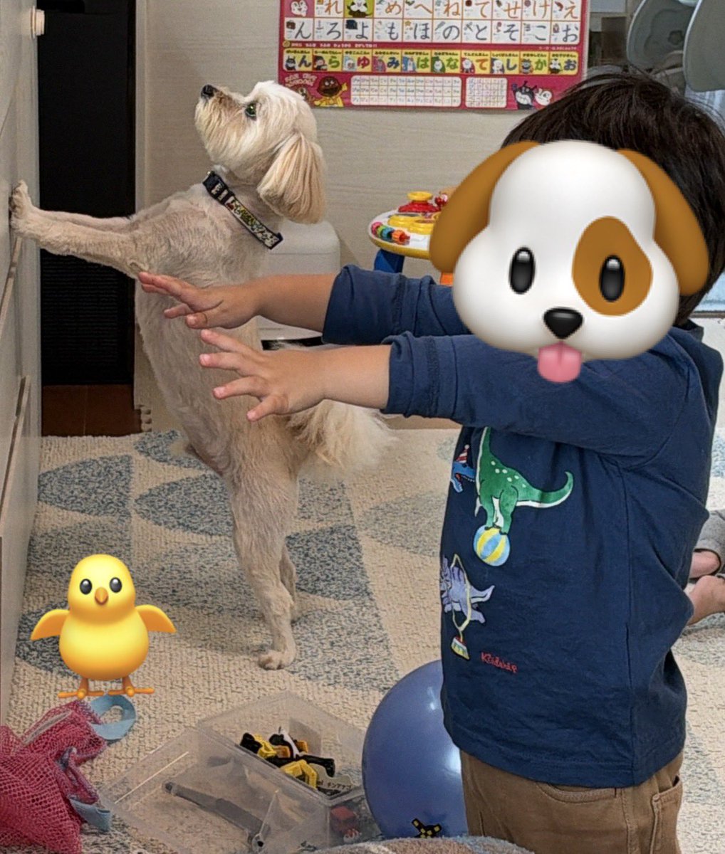 yutemarimo's tweet photo. お久しぶりです♪🐶
たまには浮上してみました！
こっちでも度々呟くようにしますね！！
(最近の私、りとむの真似をする息子、お座りできるようになった娘です) https://t.co/cXZoSReNBF