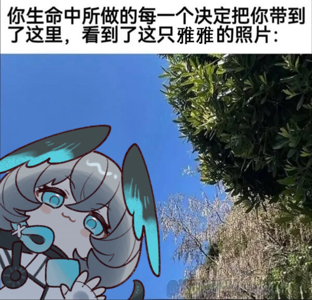 uz30001's tweet photo. 感恩命运吧 https://t.co/UvNJ0Nke46
