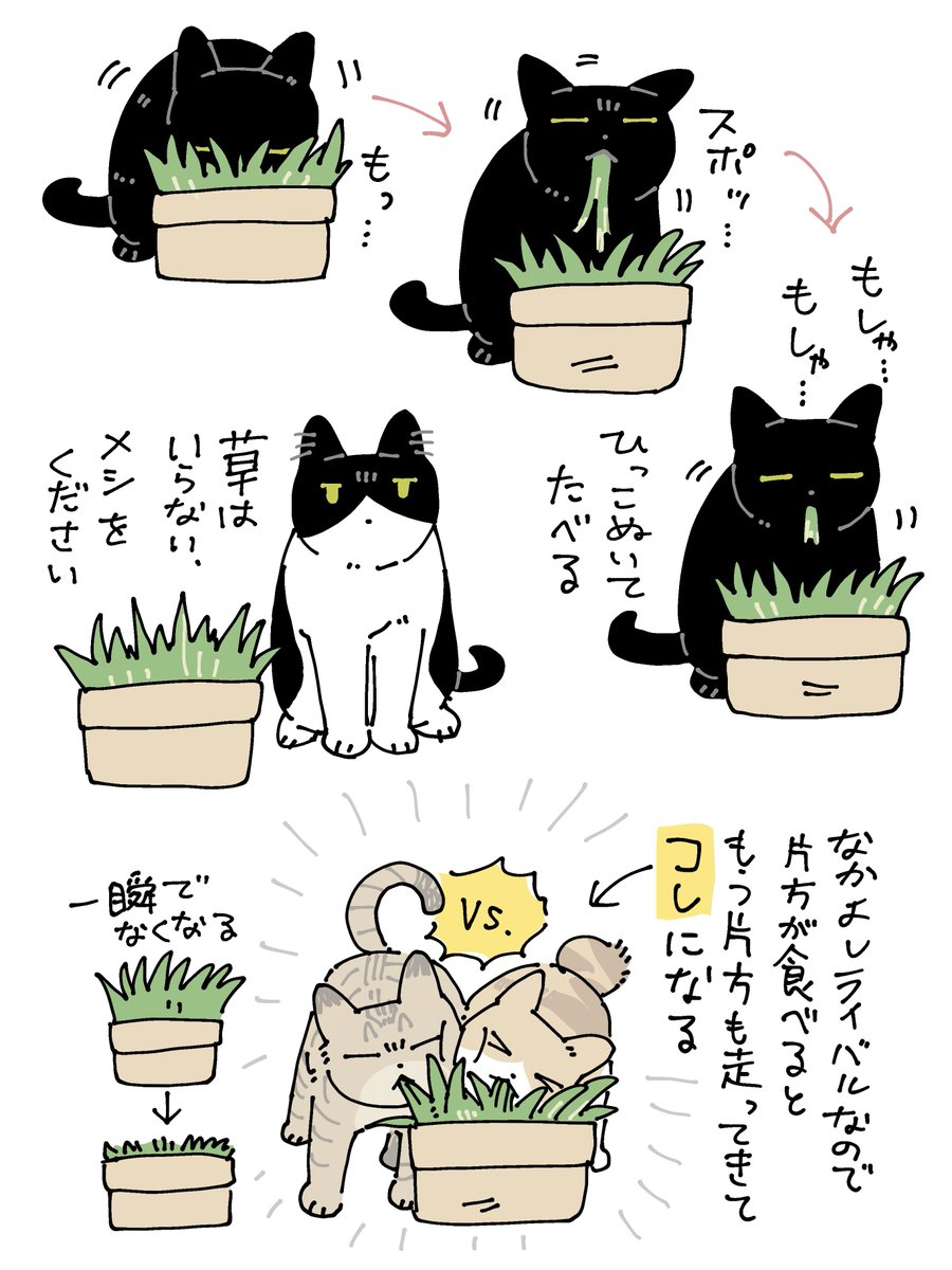 bou128's tweet photo. 我が家のみなさんはこんな感じです https://t.co/OrqVlDkSXX