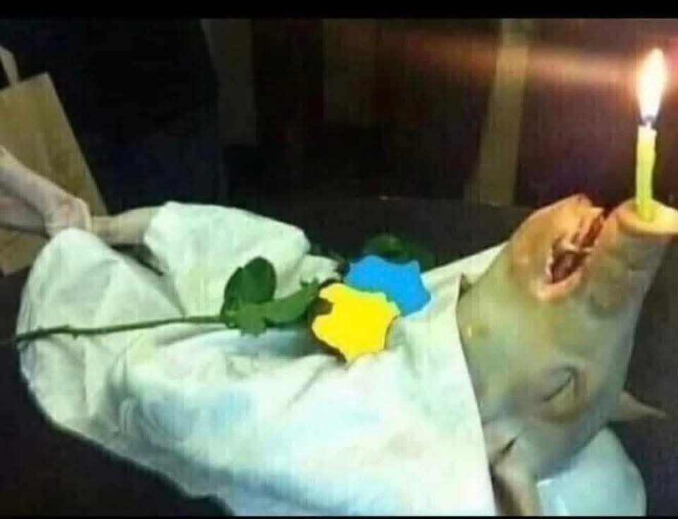 Sergolom1's tweet photo. @ukrainiansquad Навоз 💩ебучий ☠️ https://t.co/NZOFEjf7Yn