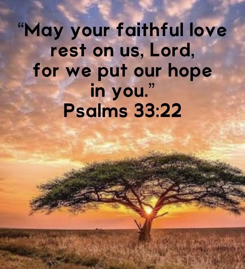SteveColerick's tweet photo. Happy Thursday sweet souls 💙 

"May your unfailing love be with us, LORD, even as we put our hope in you."

[Psalm 33:22] NIV https://t.co/sVdPj3RBpE
