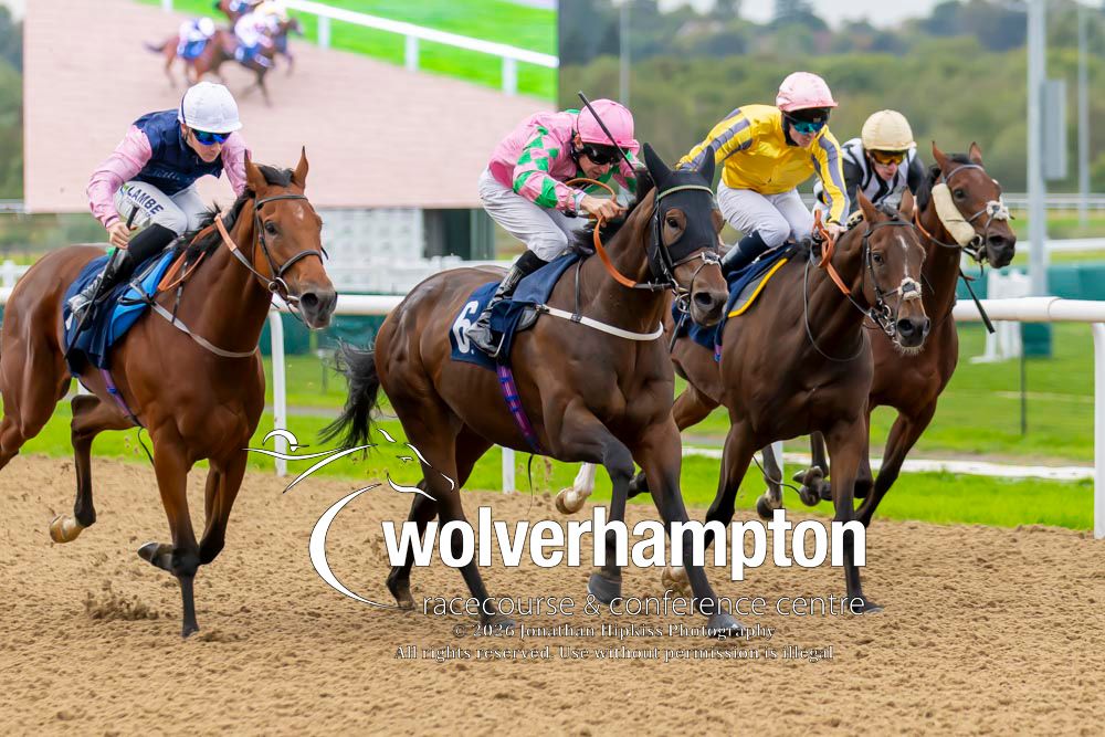 WolvesRaces's tweet photo. 29.09.26    Race 2 - The Free Race Replays On https://t.co/P8EnMAtuPM.

Winner-  Sevenkingsmustdie
Trainer - Alan King
Jockey -Luke Morris
Owner - Alan King

All images taken by - Jonathan Hipkiss https://t.co/9UNXVI1YMc