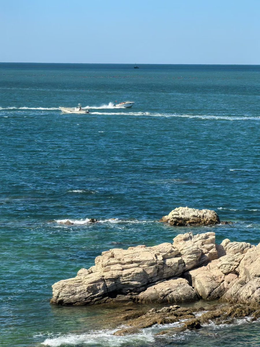DongLi86731's tweet photo. Blue sea, endless wind.
碧海长风，自在辽阔。
#SeaView https://t.co/qnWIw6dRKk