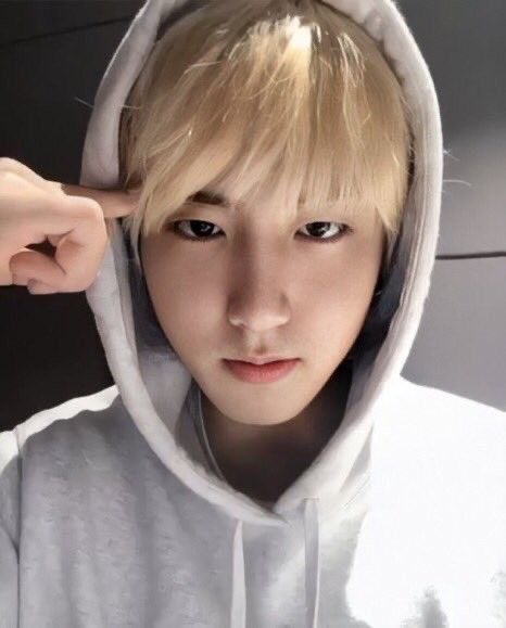 miiroochan's tweet photo. 40키로 뚱때지 장모 골햄이 보고싶다.......
톤그로그딴게뭐라고ㅆ발 https://t.co/JwYOxN5QA9