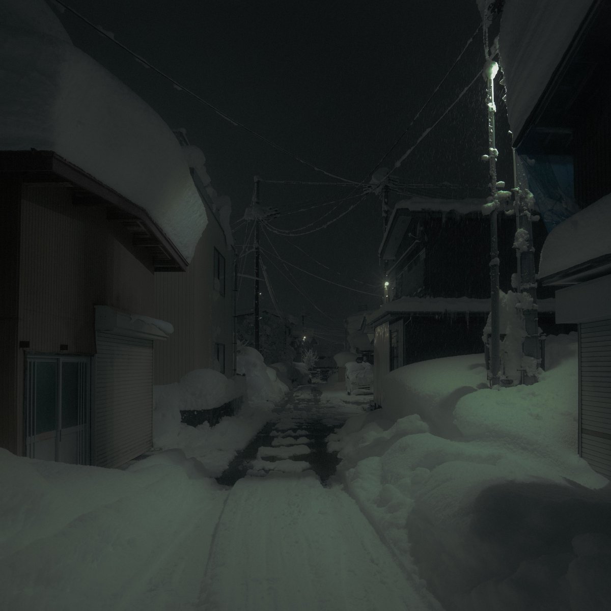 n55_pafu tweet picture