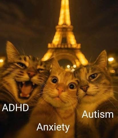 Autistic_Lauren's tweet photo. https://t.co/Wl1bFKO2dJ