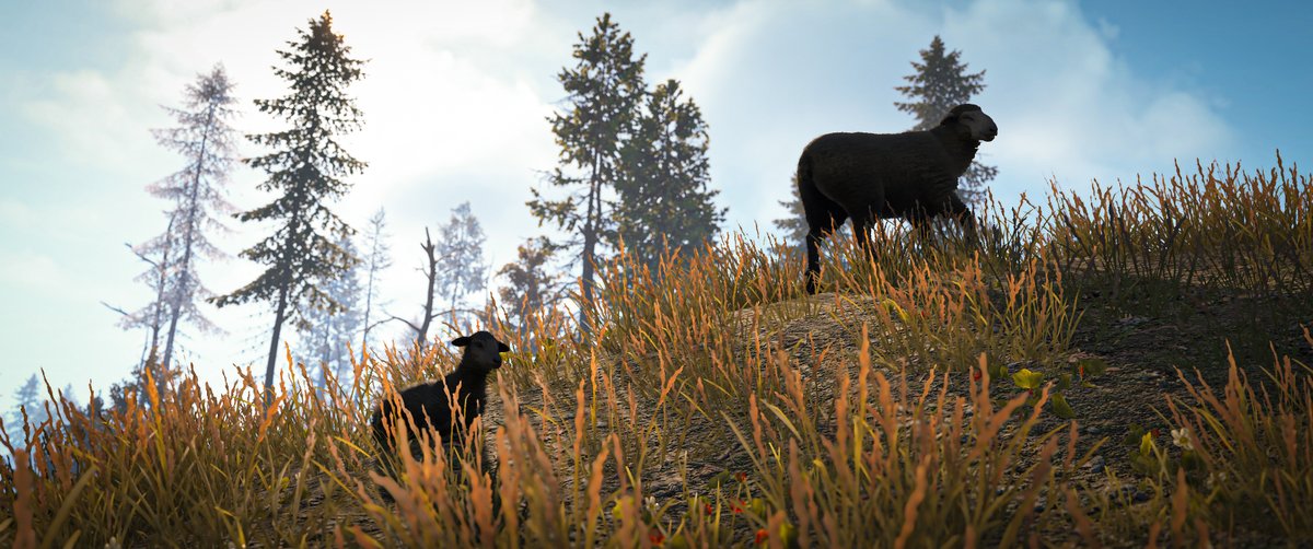 Rustafied's tweet photo. Livestock Update Incoming! https://t.co/41yt3wdii8 https://t.co/VBB18wzxc0