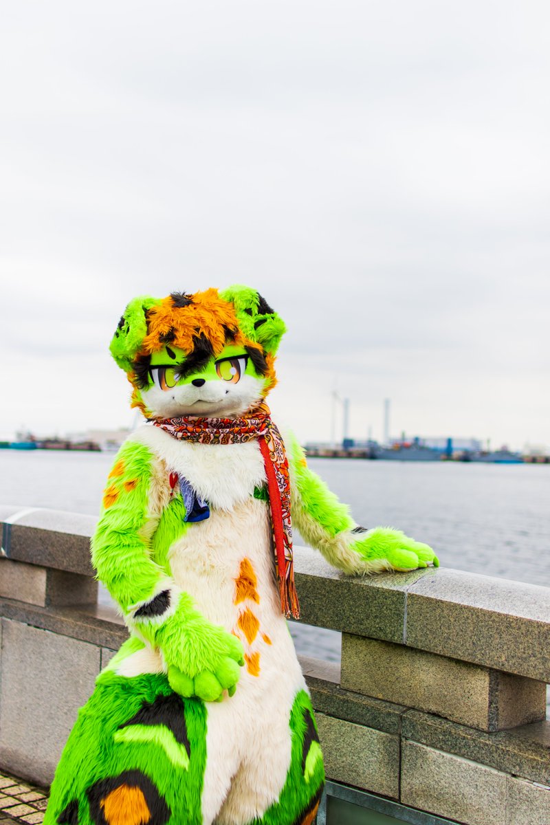 Towan_12udln's tweet photo. #FursuitFriday
#ANIMEK https://t.co/Bp18rSNcaF