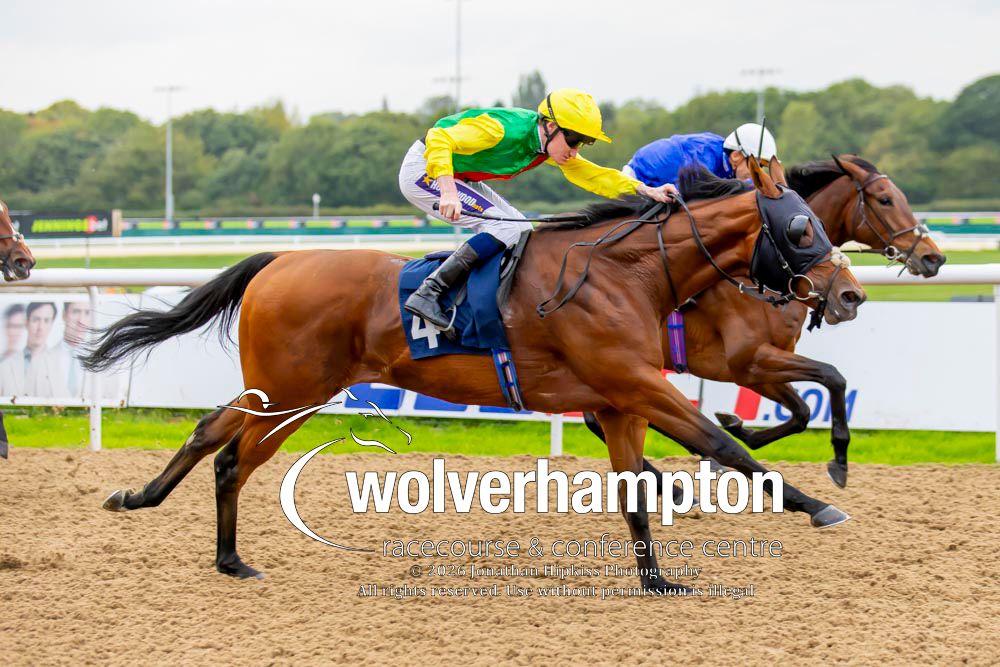 WolvesRaces's tweet photo. 29.09.26    Race 3 - The https://t.co/FdFGbQCqgt 

Winner-  Gold Star Gazing
Trainer - James Fanshawe
Jockey -Daniel Muscutt
Owner - Mrs A M Swinburn

 All images taken by - Jonathan Hipkiss https://t.co/x8FuOyuWmp