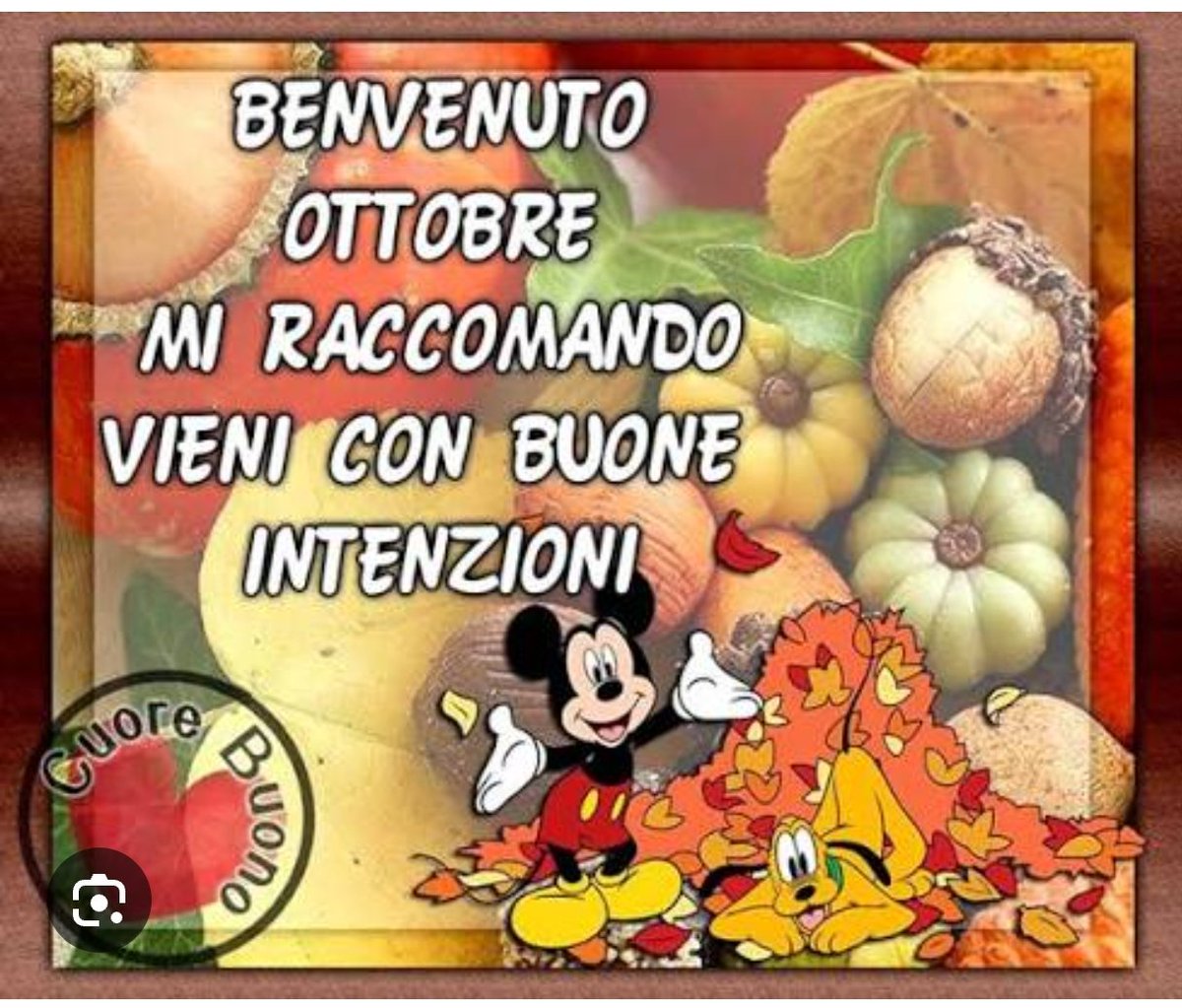Patrizi29944196's tweet photo. https://t.co/JvKA8hc2iO