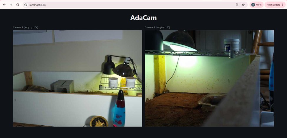 bella_cor3's tweet photo. Really simple, direct p2p use cases of late. Ada is my cofounder's tortoise that we're keeping an eye on while he's travelling, and the directory I'm sharing has a few videos and a photo that I wanted to get to another coworker without a reduction in quality. 

Features:
- free
- zero backend/cloud/third party
- encrypted, direct connections between devices

The connections appear local (you can see the localhost ports they're assigned), but are actually traversing NATs across different networks. This is automatically handled by Causeway.

The file sharing was just one line in my terminal to expose a directory on my laptop. I couldn't message or email the videos because the individual files were too big and would have to be compressed, so this allowed my coworker to download them directly from my machine at their native quality.