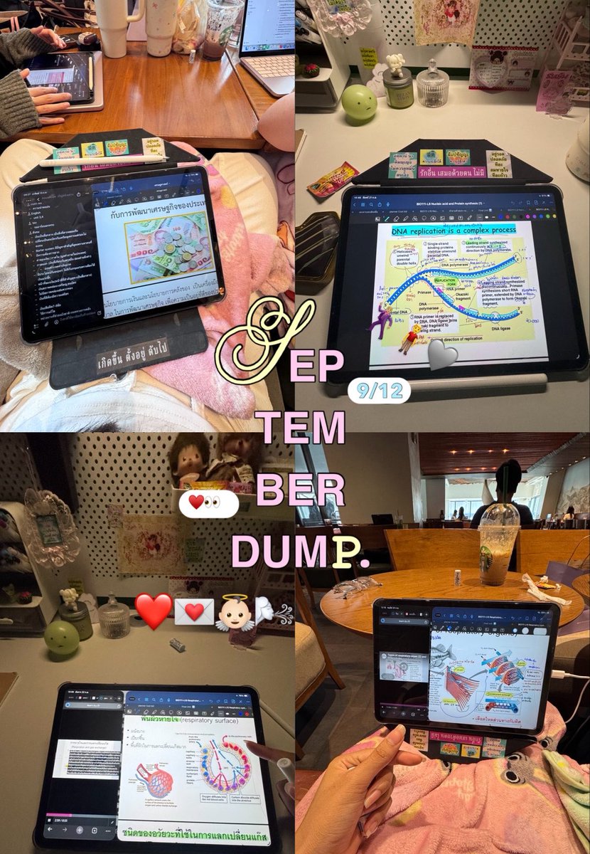 edRifojls's tweet photo. recap september  ^^ กันยาเยินของจริง . . . ไฟนอลเล่นฉัน เดือนหน้าขอเรียยมากว่านิ :3 💌💌👼🏻🫰🏻🌬️🌬️ #coligjourney ~~~ https://t.co/Zf1E1dXae2