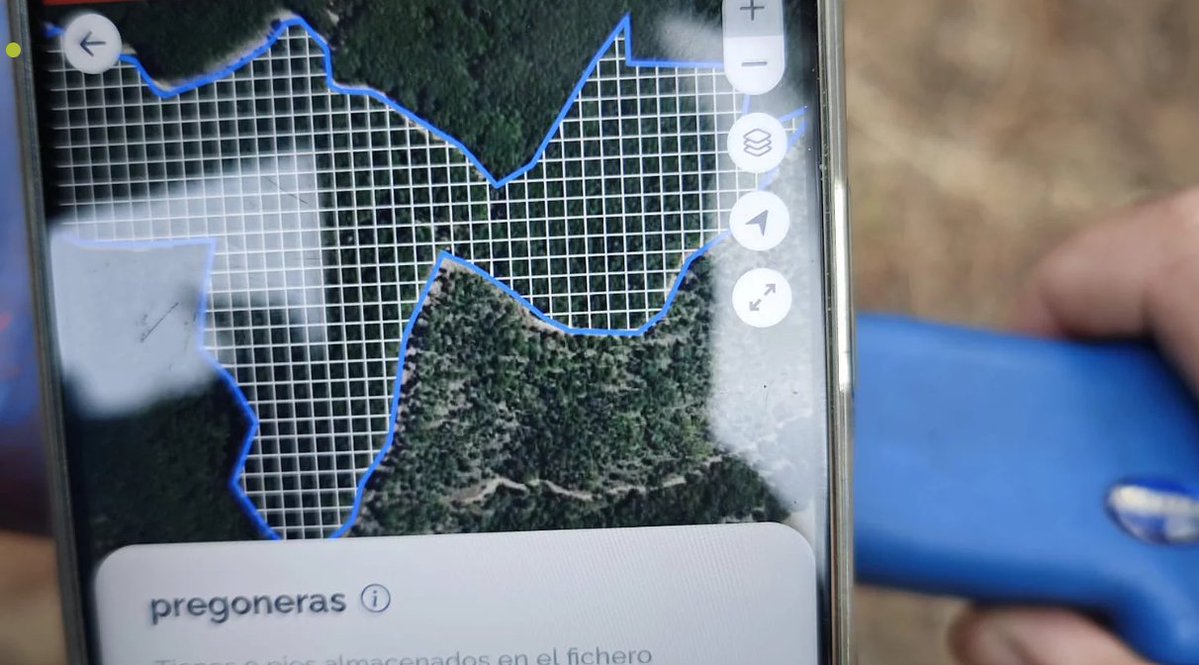 RetechFOR's tweet photo. 📍🌲 SISILV reúne en una única herramienta la planificación, el trabajo de campo y el análisis de datos forestales. Una solución de @FCesefor  desarrollada en #RetechFOR para mejorar la gestión y trazabilidad de la información.

🔗 https://t.co/kOOleXq1KQ https://t.co/rEh8WSTBmV