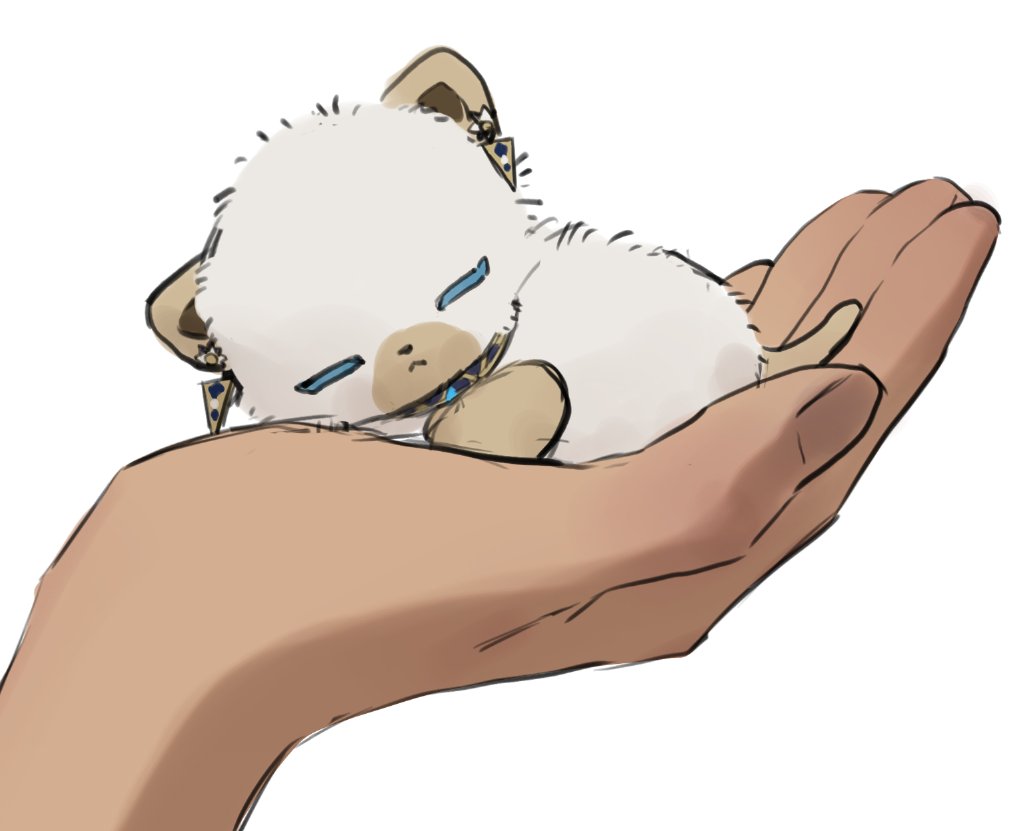 ajisionn22's tweet photo. パヤパヤだった頃 https://t.co/Q59YrIjMsu