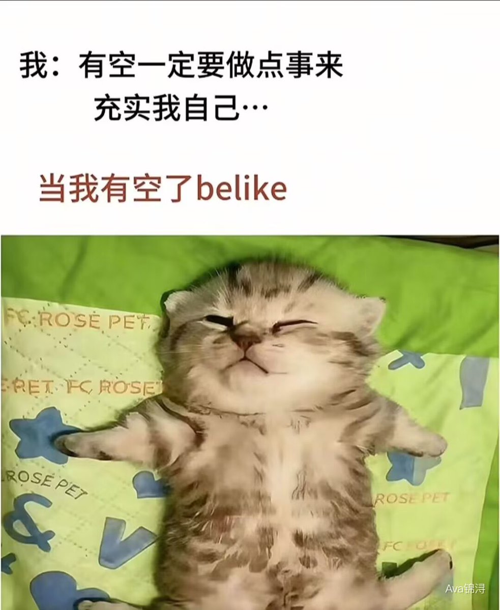 Lalalalaluk's tweet photo. 人生就是这样喵喵咪咪 https://t.co/F4PAunN9M7