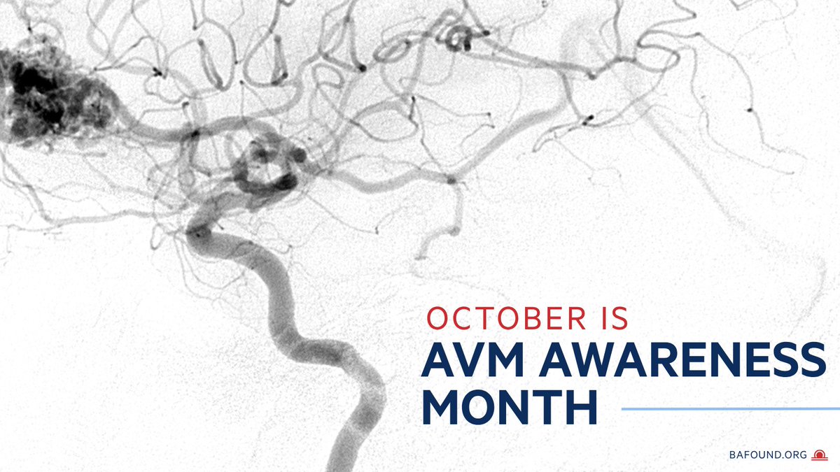 BAFOUND's tweet photo. You may know about brain aneurysms, but have you heard of an AVM? October is AVM Awareness Month. An AVM is a tangle of abnormal blood vessels in the brain that can rupture and cause bleeding. 10–60% of people with an AVM also have a brain aneurysm.  https://t.co/TfBE8ItLUn https://t.co/uidkuDvitt