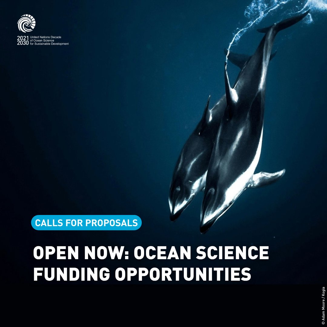 UNOceanDecade's tweet photo. 🔵 Funding opportunities from across the #OceanDecade network: applications are now open for a range of calls for proposals across the world!
Find the full list of funding opportunities on Ocean Connector: https://t.co/LZTMHVM2rn https://t.co/wl59tx7gwv
