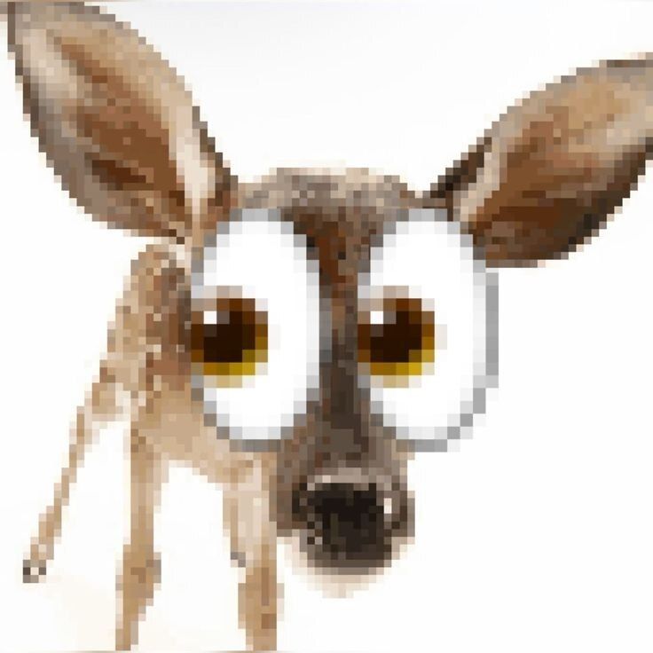 deershouldnt's tweet photo. https://t.co/mz4s400rqg