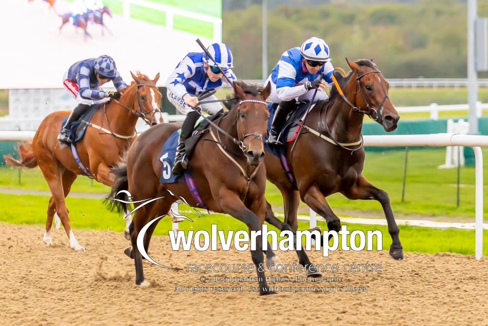 WolvesRaces's tweet photo. 29.09.26    Race 4 - The Free Tips on 
https://t.co/P8EnMAtuPM

Winner-  Dark Mandate
Trainer - Eve Johnson
Jockey -Billy Loughnane
Owner - Mr H Frost

All images taken by - Jonathan Hipkiss https://t.co/0XnJGGyFBP