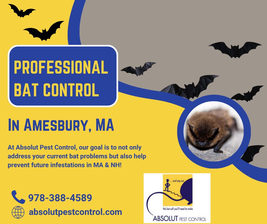 AbsolutPest4's tweet photo. Bats are considered an emergency pest issue, so if you find a bat in your home or on your property, contact Absolut Pest Control!  Our team will respond promptly and help safely address the situation.
https://t.co/fnLMpmZfCA 
#batcontrol #bats #pestcontrol #amesburyma #NewEngland https://t.co/9dc7zQvV1i