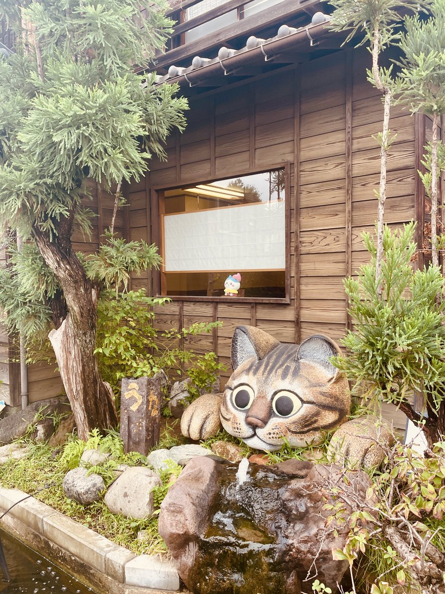 5ooooooo_o's tweet photo. 思い出🫶やもぐもぐ本舗での戦利品や、川越スイーツ🍠おにぎりマスコットも欲しかったけど、思ったより大きかったんだよね💦収納スペースがすでにパンパンで…ぬいは前から欲しかったお芋なちいかわのみしました🐱亀どらは週末食べる〜✨ https://t.co/qT3XcZX81D