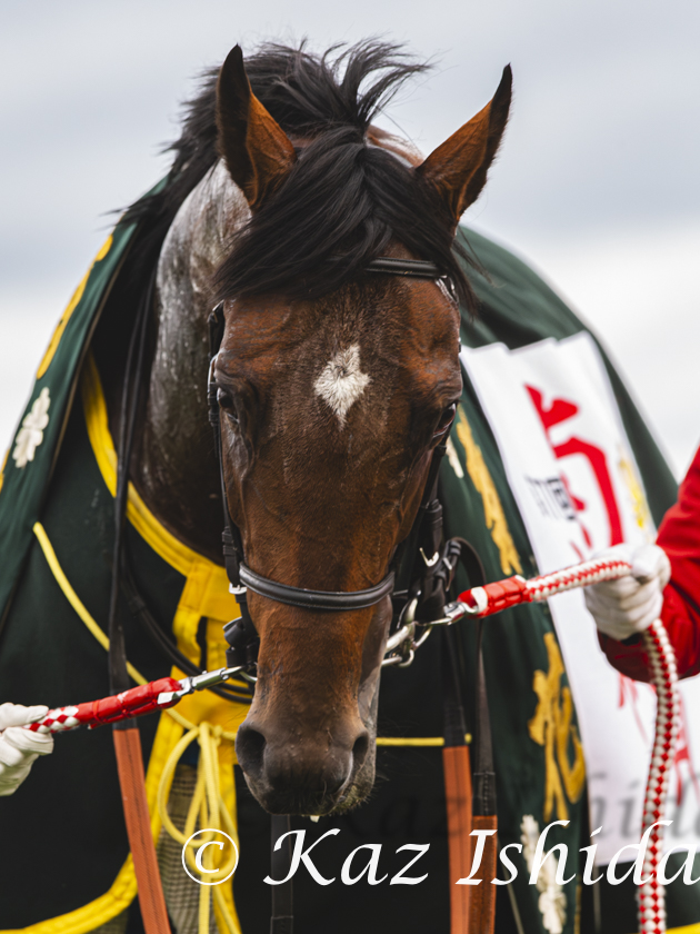 HimawariKaz's tweet photo. サトノダイヤモンド
(2016年 菊花賞)

Satono Diamond,a dual Gr.1 stakes winner 
(photo:2016 Kikuka Sho) https://t.co/LjUyOaJ3Q2