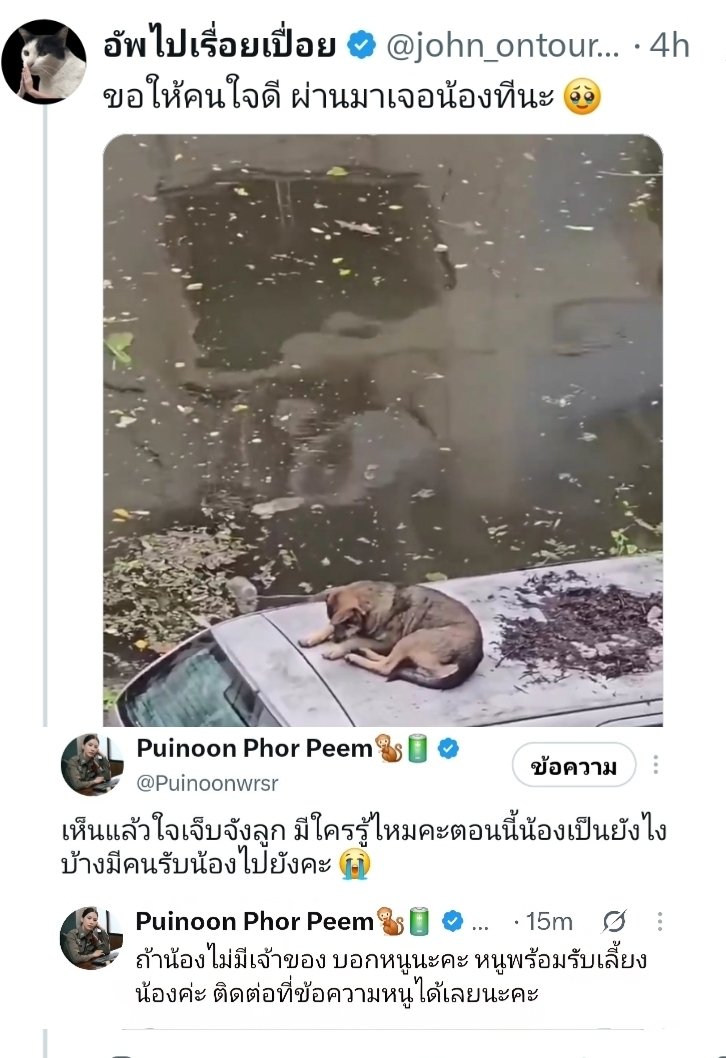 Sandi03081992's tweet photo. เด็กที่ใจดีกับทุกอย่างบนโลกจริงๆ
ขอให้หนูเจอกับความใจดีแบบที่หนูมอบให้คนอื่นบ้างนะ https://t.co/TnOQTh01q1