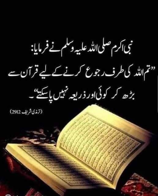 AYESHA_KHR_2's tweet photo. تم اللہ پاک کی طرف رجوع کرنے کے لیے قران سے بڑھ کر کوئی اور ذریعہ نہیں پا سکتے 🍁 https://t.co/1t9S7BHiky
