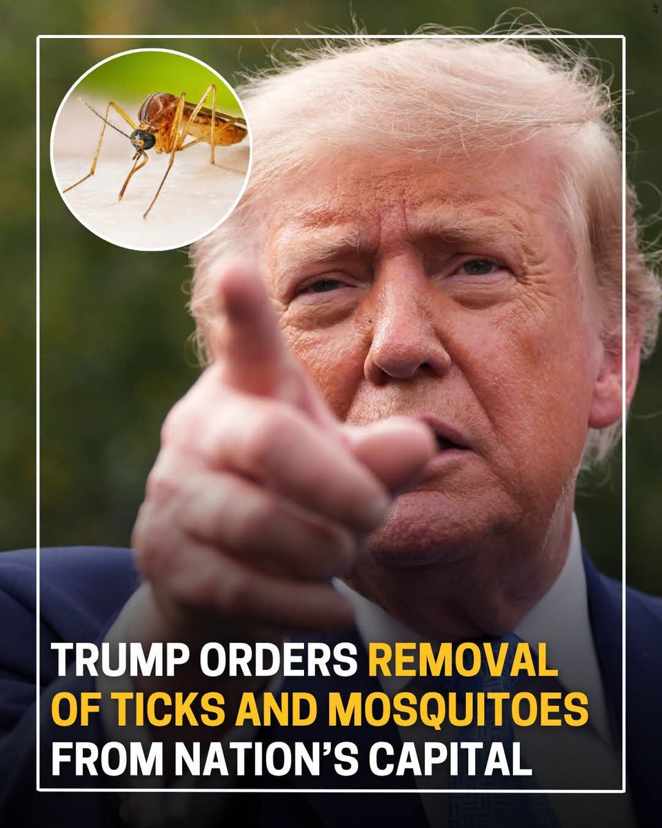DougWahl1's tweet photo. HE ACTUALLY THINKS HE CONTROLS MOSQUITOES

Trump signed an executive order yesterday to reduce the number of mosquitoes in Washington DC.

Your Thoughts https://t.co/DEzmlnRHOb
