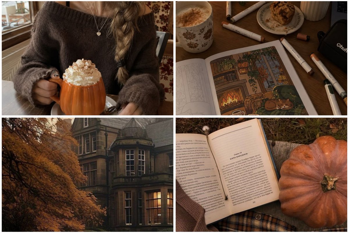 AcademiaDreams's tweet photo. October 1st 🍂🍁 https://t.co/yo6wvjLkkq