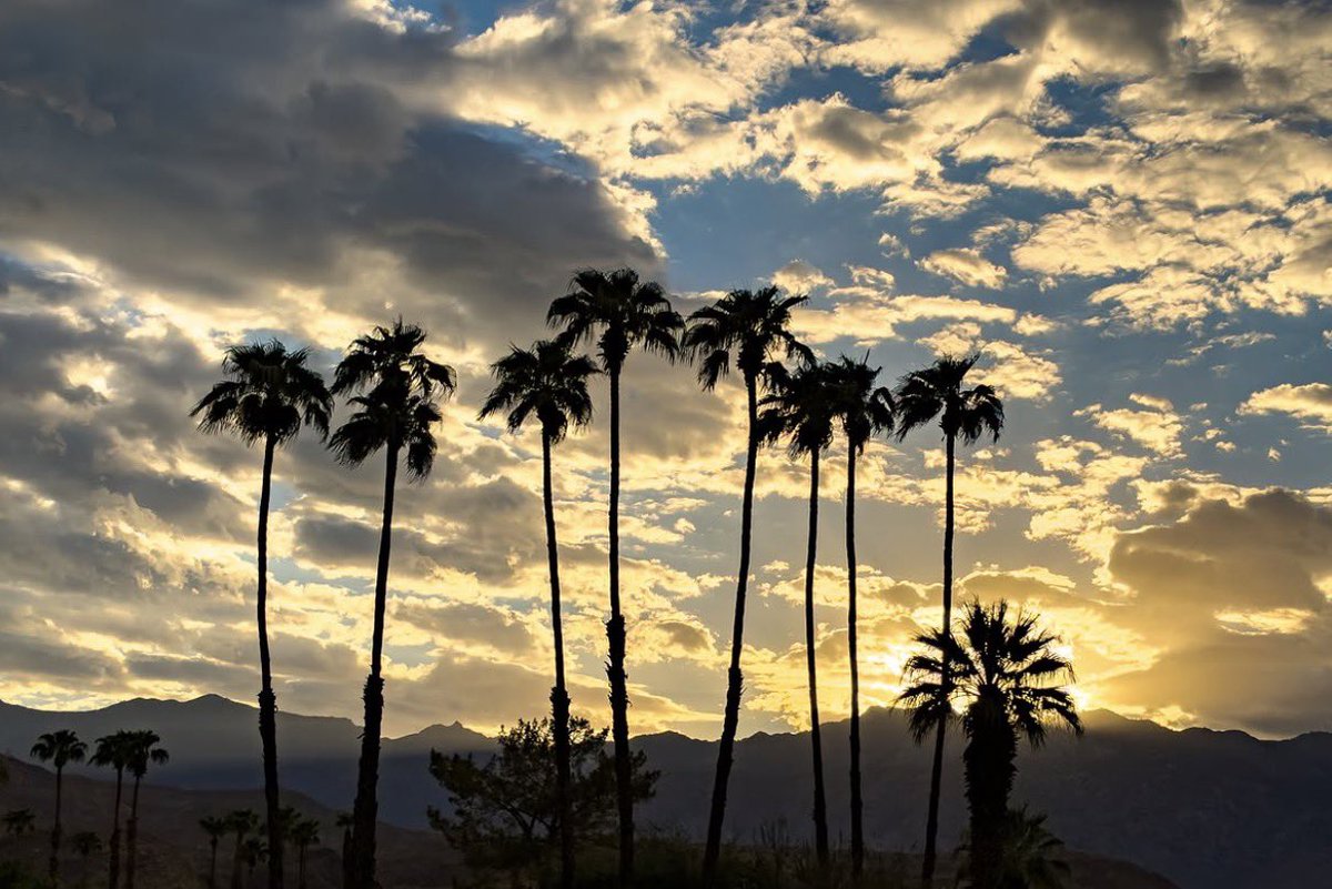 AnInsidersGuide's tweet photo. Palm Springs 
Coachella Valley Photo! - by socalsportrider https://t.co/gJ36ZXsOcl