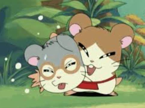 ibelievehamster's tweet photo. https://t.co/af8u2hgxiZ