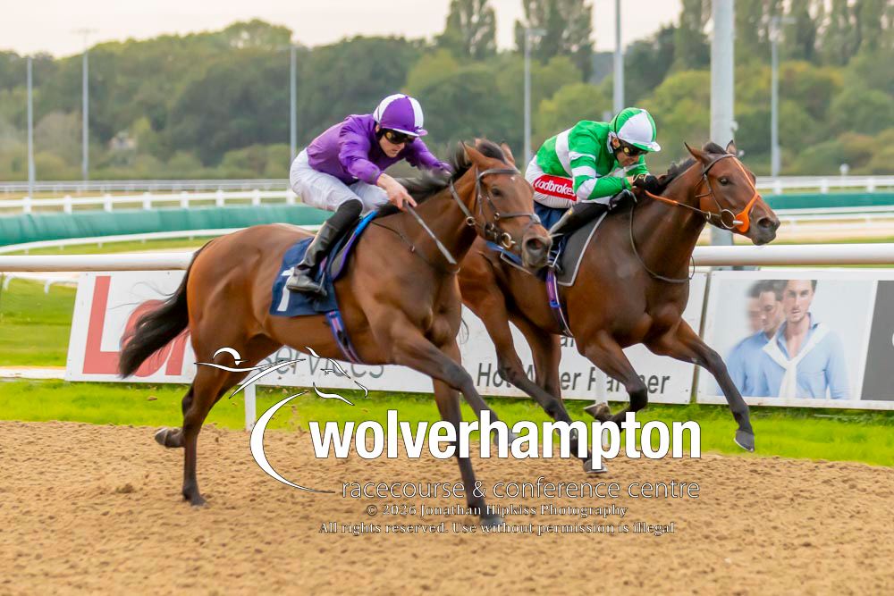 WolvesRaces's tweet photo. 29.09.26    Race 5 - The Sky Sports Racing Virgin 512 EBF

Winner-  Nightbloom
Trainer - Kevin Philippart de Foy
Jockey -Clifford Lee
Owner - Amo Racing Limited

All images taken by - Jonathan Hipkiss https://t.co/UGGWEjCzXr