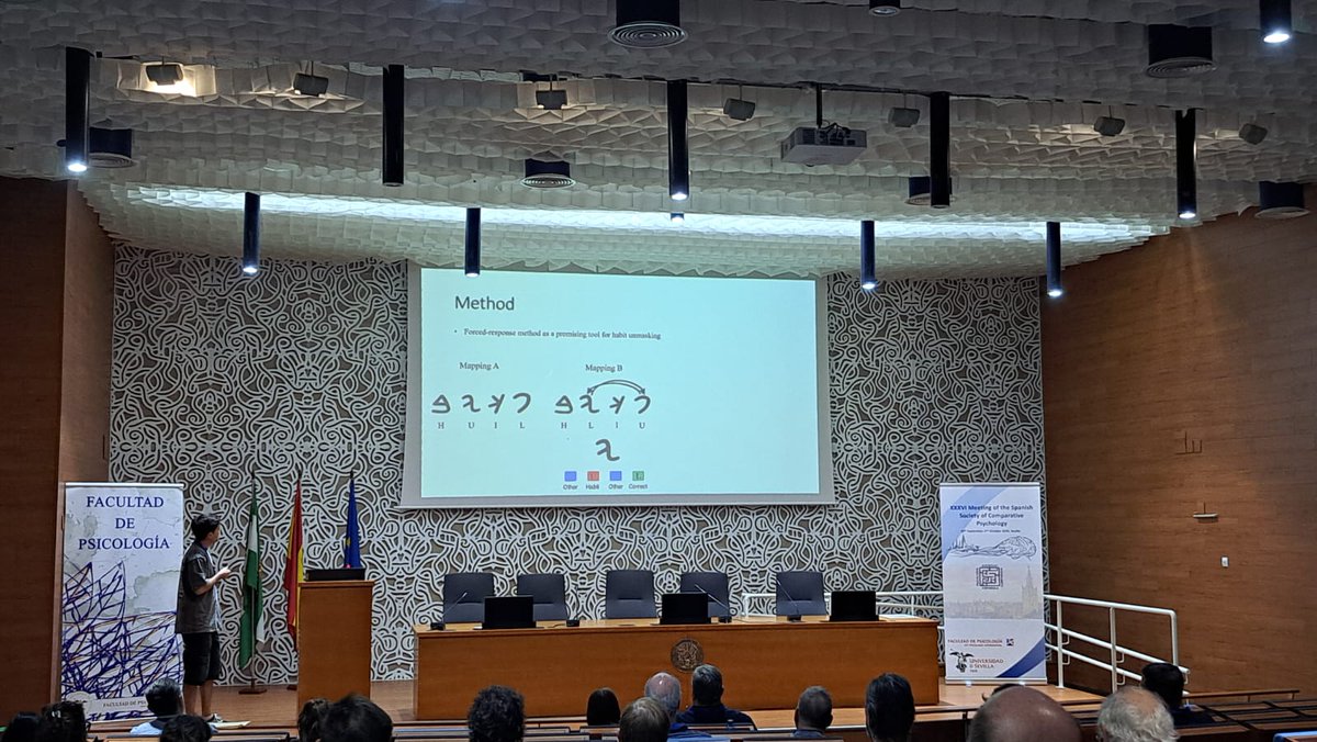 sepc2026's tweet photo. 🌅 We started this morning with Session 4: Learning Systems, featuring Anthony McGregor, Artie Graham, José Juan León, and Ángel Jiménez.

Thank you for joining us and sharing your research! 🔬👏 
#SEPC2026 https://t.co/oqdkRQ6sLh