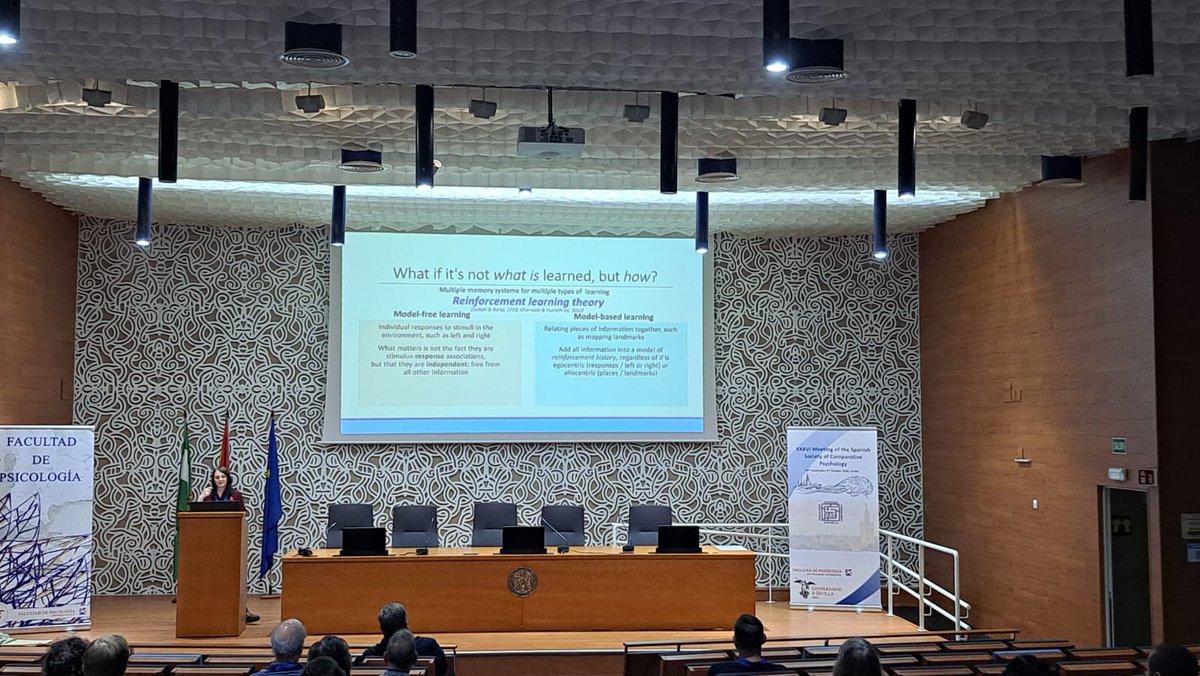 sepc2026's tweet photo. 🌅 We started this morning with Session 4: Learning Systems, featuring Anthony McGregor, Artie Graham, José Juan León, and Ángel Jiménez.

Thank you for joining us and sharing your research! 🔬👏 
#SEPC2026 https://t.co/oqdkRQ6sLh