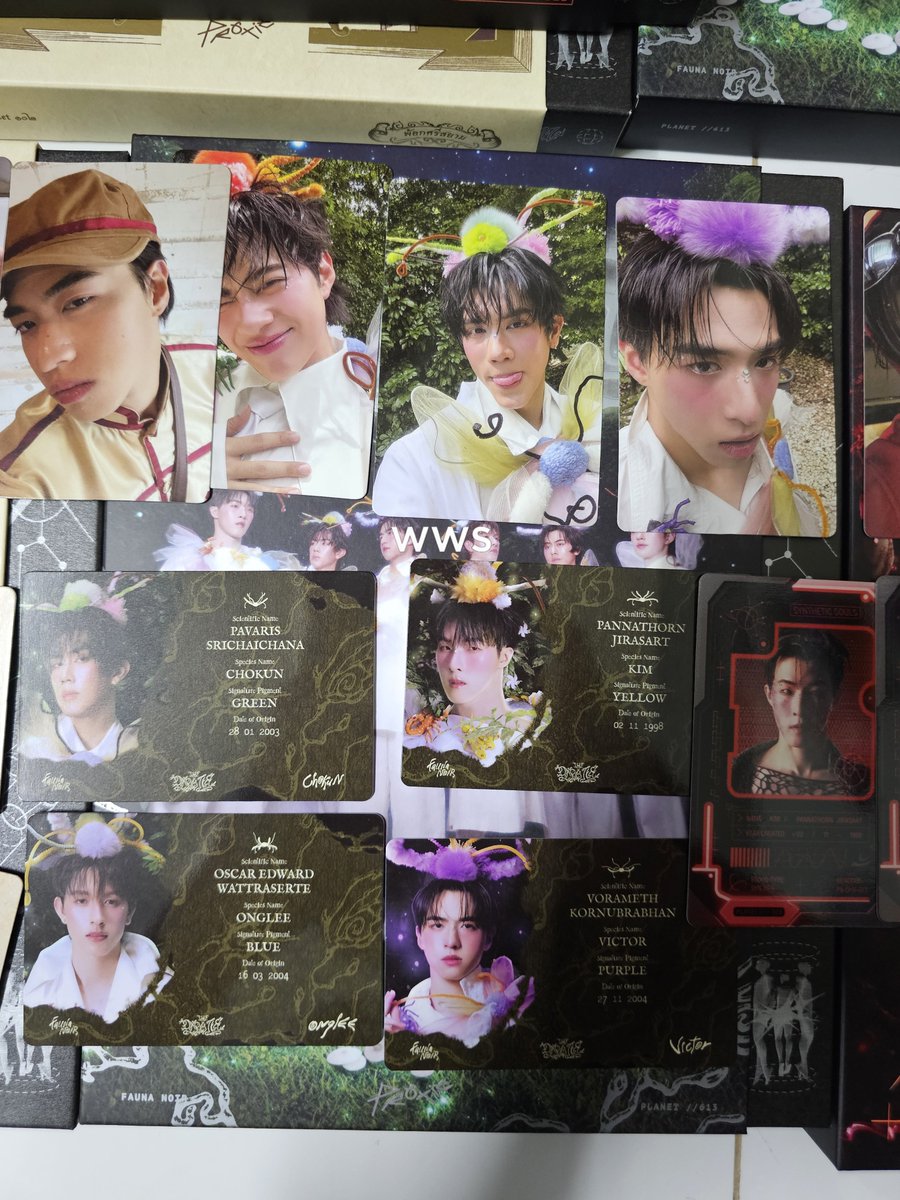 whalewoostar's tweet photo. wtt / แลกการ์ด #PROXIE_The3rdAlbum

เรา: การ์ดและไอดี ตามรูป
คุณ: แลกเป็นกร 🩷 ขอตรง ver. ตรงการ์ดตรงไอดี ก่อนนะคะ

ส่งไปรฯ หรือนัดแลกตามงานได้
สนใจแลกกัน dm มาหาเราได้เลยคับ หรือเมนชั่นก็ได้
#ตลาดนัดproxie https://t.co/YU7kYsLt29