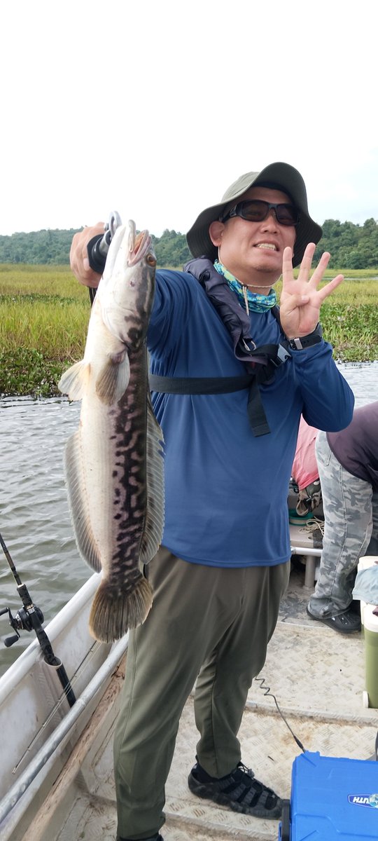 1qzFynq0brxzMfI's tweet photo. 9月27日
クラウ
活性高く4匹
Huge buzz bait type2で3匹、type3で1匹。
type3は一発でブレード回らなくなった笑
#Toman #Hugebuzzbaittype2 https://t.co/iXEBMfxljx